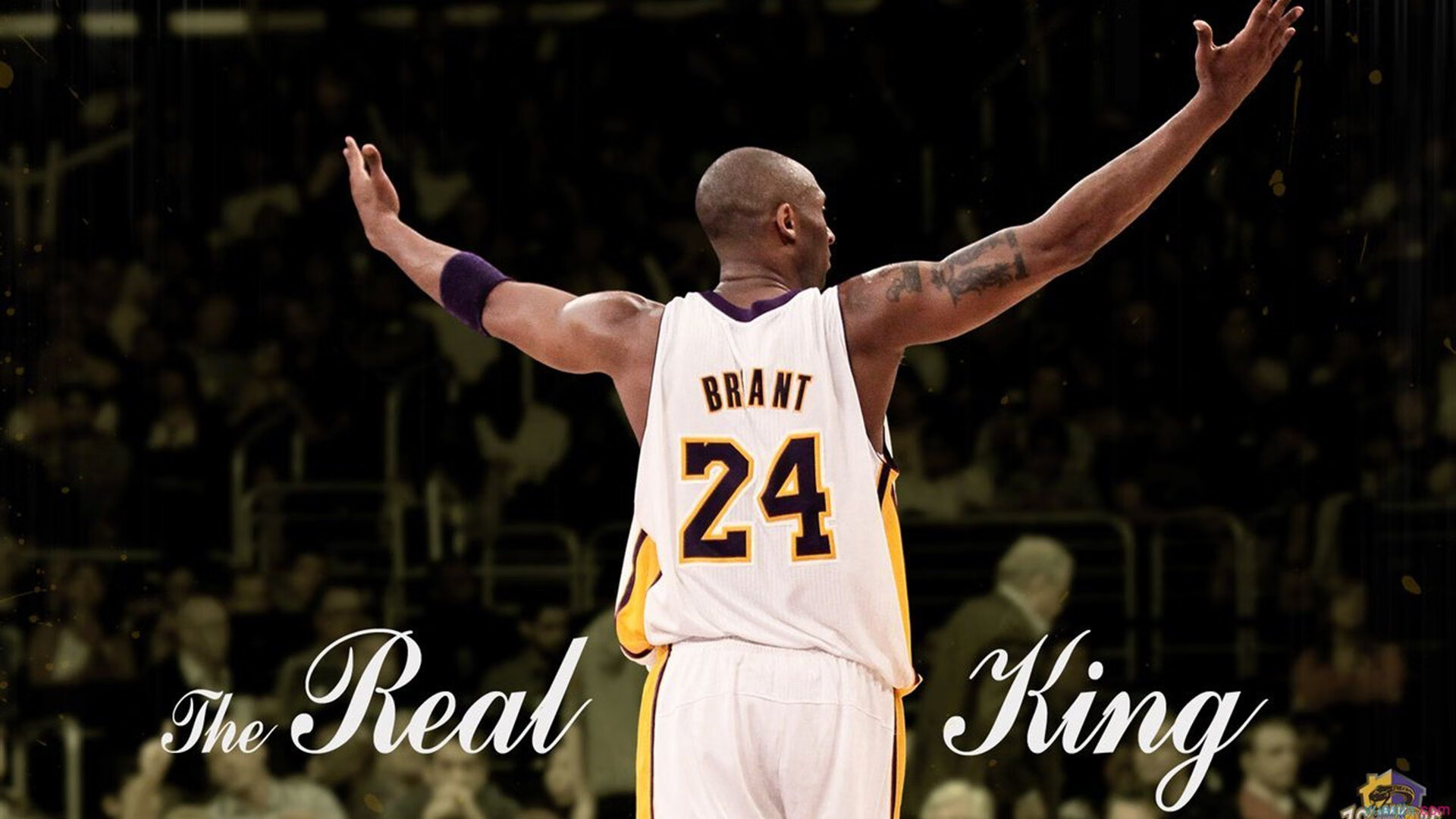 中国篮球主场球迷支持度与比赛结果关联性分析，中国篮球球迷数量统计